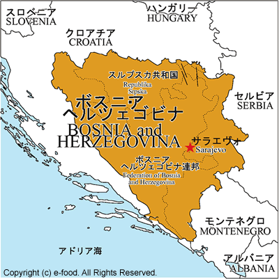 サッカーボスニア ヘルツェゴビナ代表最新市場価値ランキングtop５ おまけ クロアチアワインソムリエ海事代理士の令和見聞録